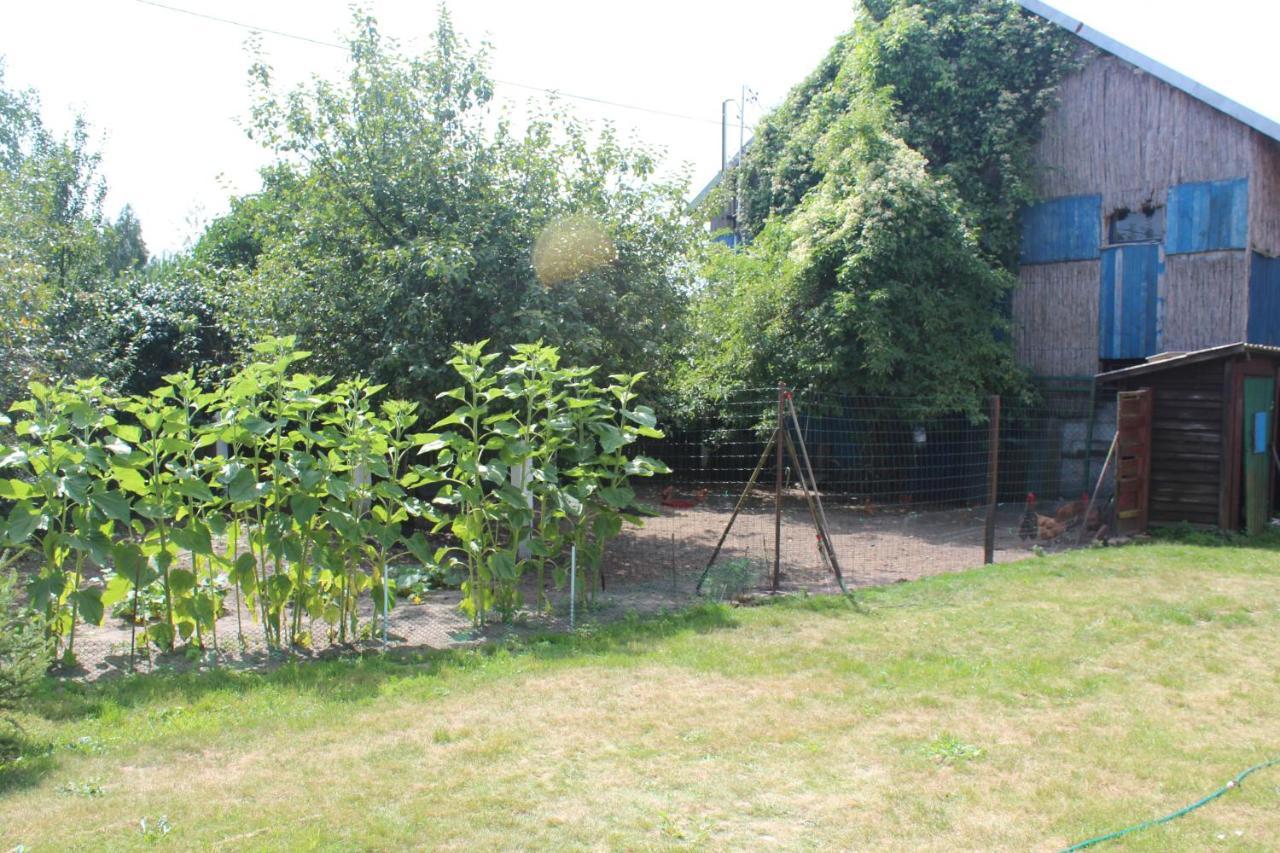 Agroturystyka Kociewiak Szteklin Exteriör bild
